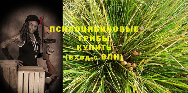 бошки Нязепетровск