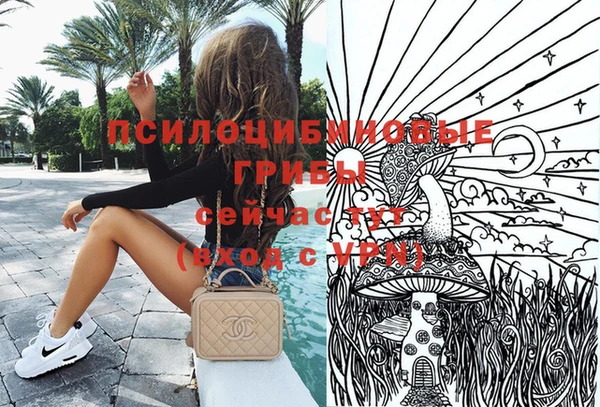 стаф Няндома