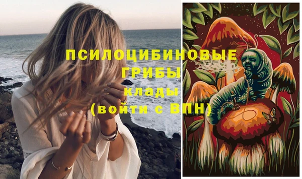 мескалин Осинники