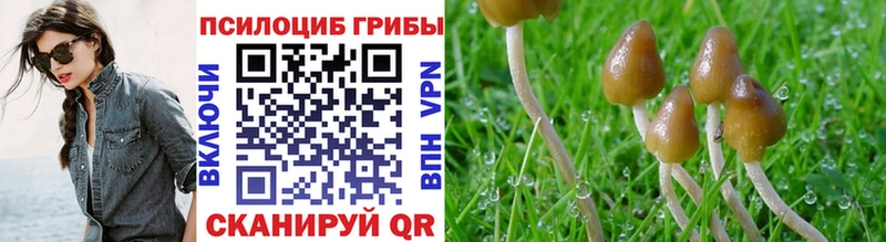 Псилоцибиновые грибы Psilocybe  Электроугли 