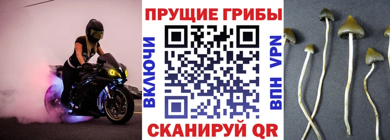 Галлюциногенные грибы Psilocybe Электроугли